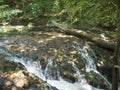 La Vaioaga waterfall at Cheile Nerei National Park, Romania Royalty Free Stock Photo